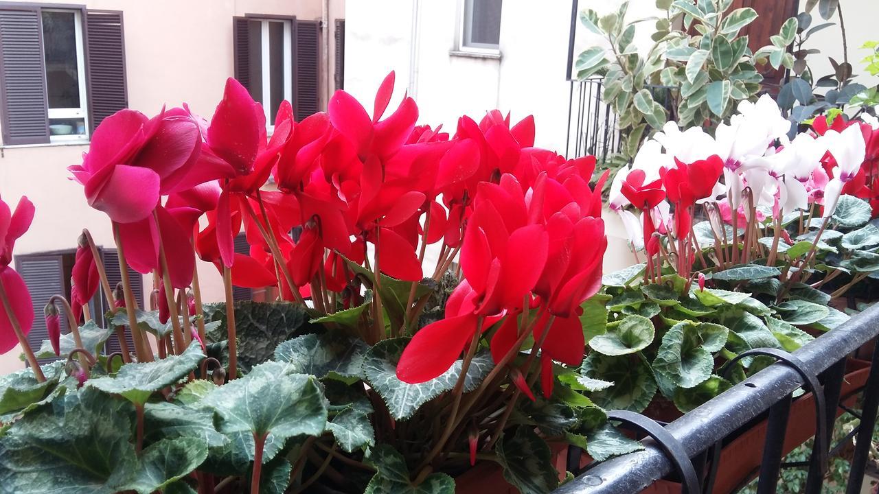 Lilium House Aventino Apartamento Roma Exterior foto
